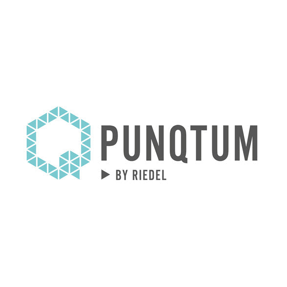 PunQtum Intercom Systems